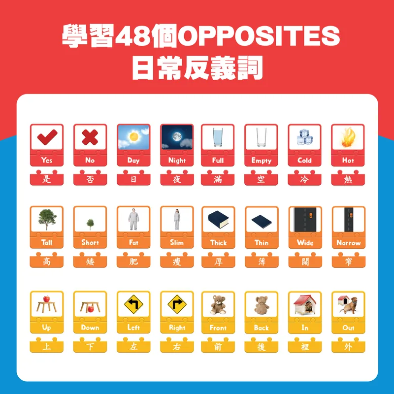 Curios Opposite Puzzle Card(JP)