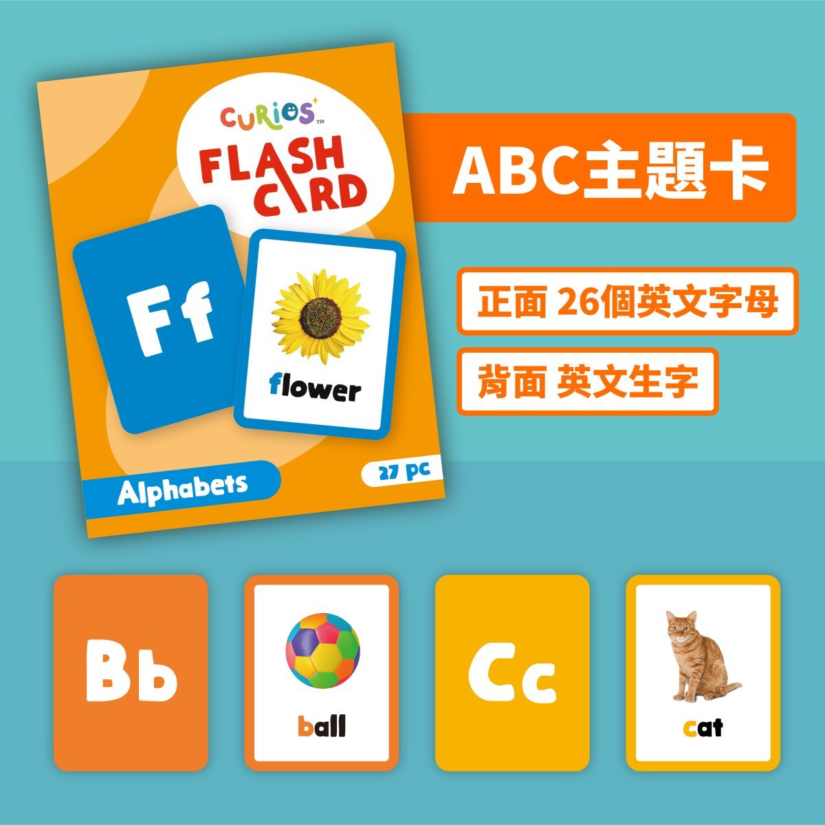 Curios Flashcard(JP)