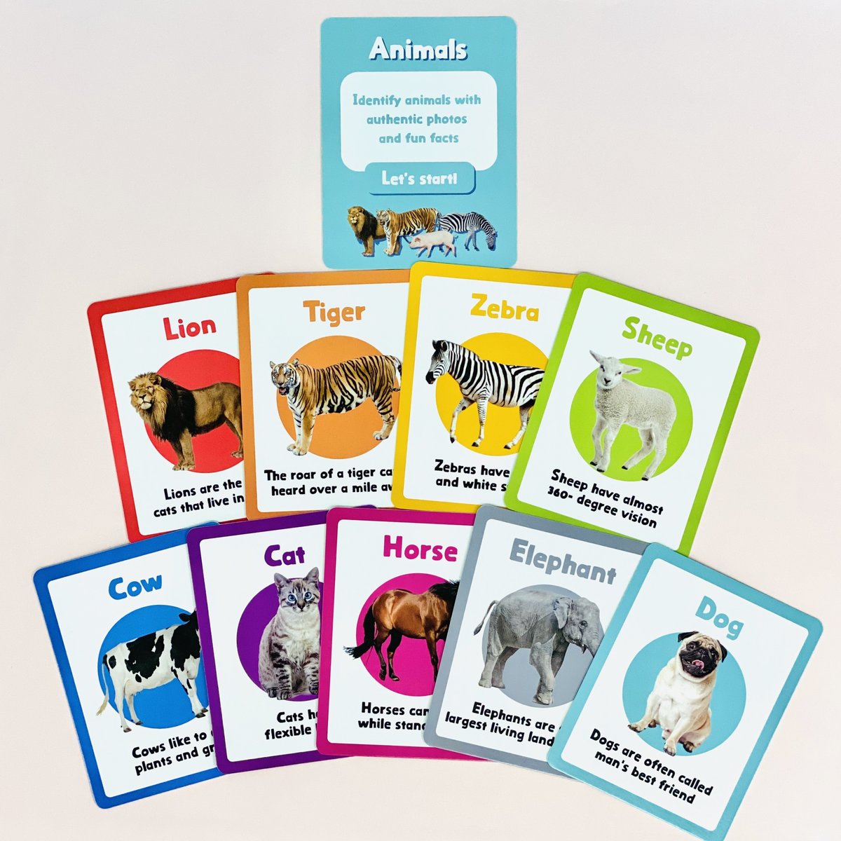 Curios Flashcard(JP)