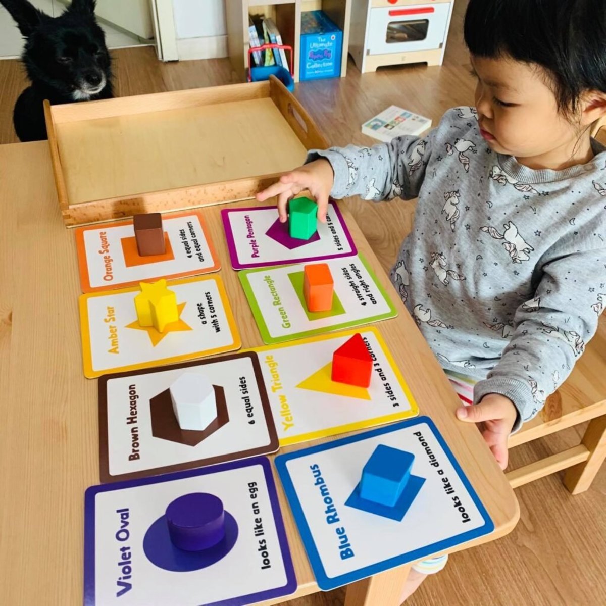 Curios Flashcard(JP)