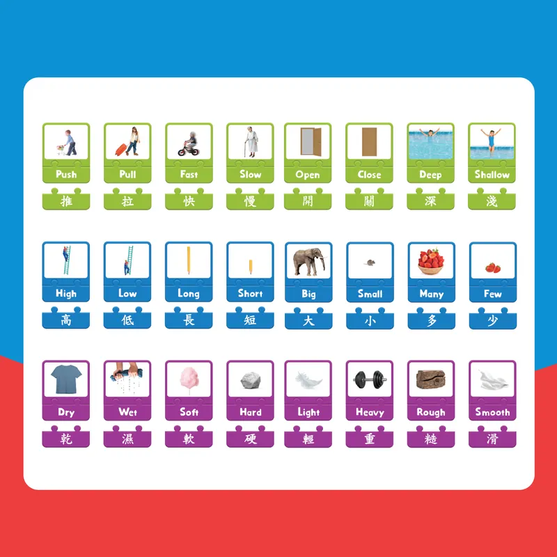 Curios Opposite Puzzle Card（JP）